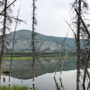 Meet your Posher, Glenda